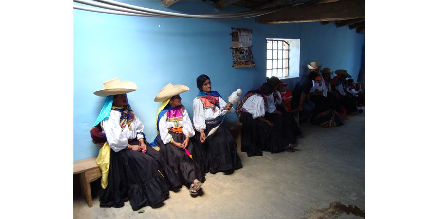 Image Description
